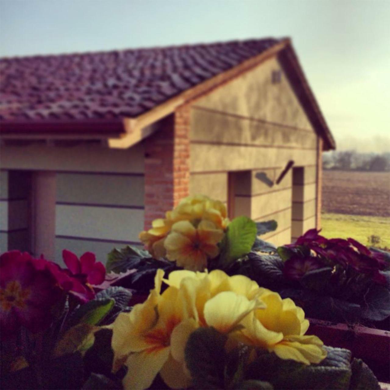 Agriturismo Bassanine Monticelli dʼOngina Exterior foto